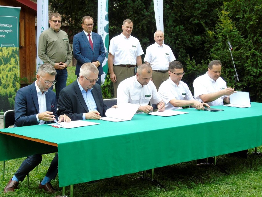 Sądeckie nadleśnictwa będą produkować zieloną energię. Powstaną farmy fotowoltaiczne 