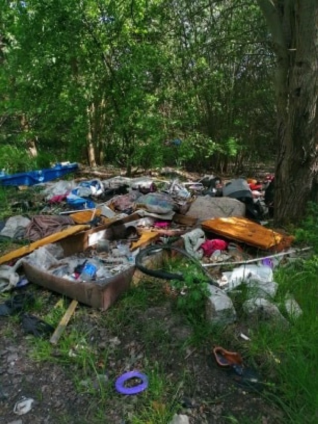 Od małych po wielkie gabaryty, zamiast kontaktu z naturą, jest taki śmietnik.