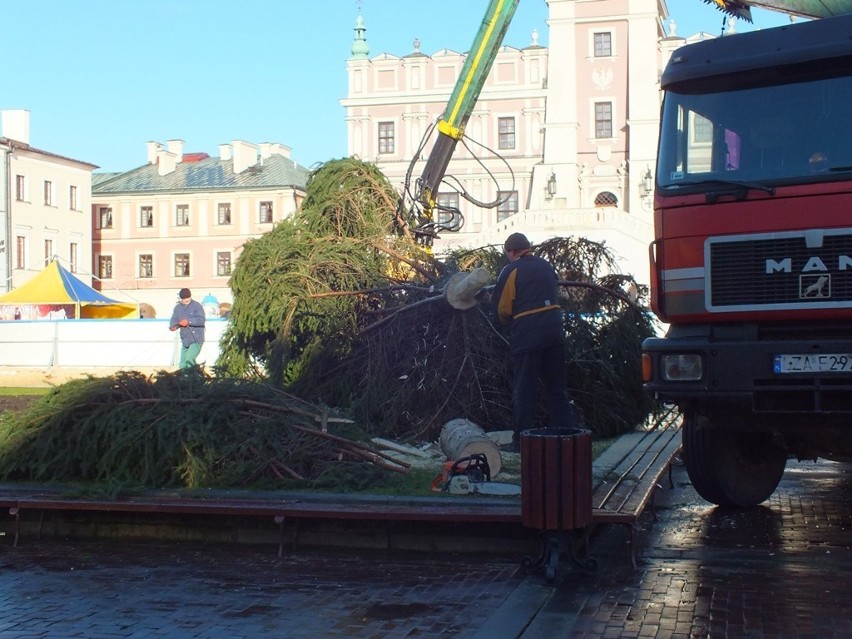 Choinka w Zamościu: na Rynku Wielkim stoi już drzewko