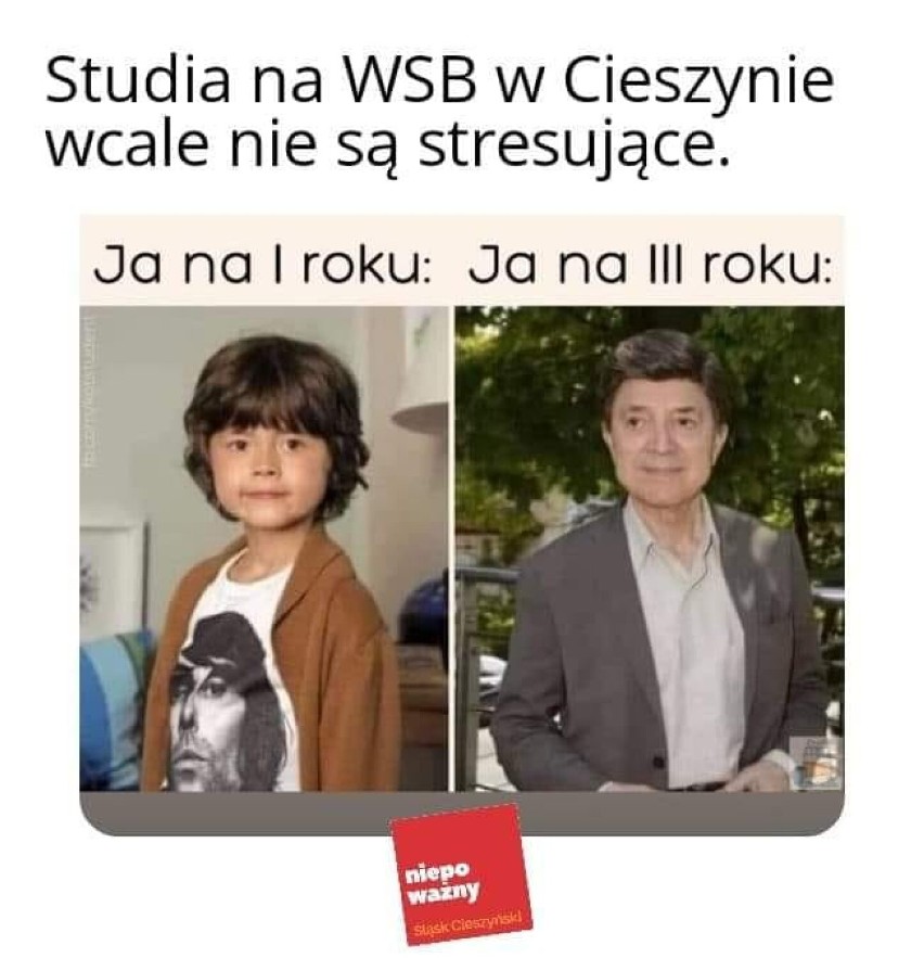 Tak śmieją się ze Śląska Cieszyńskiego - zobacz najlepsze MEMY! Z czego śmieją się w Internecie? Zobacz, może też się uśmiechniesz