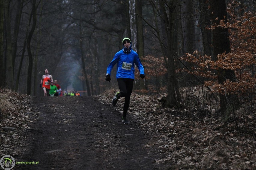 City Trail w Katowicach - zdjęcia z finałowego biegu [28 luty 2016]