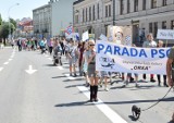 I Jarosławska Parada Psów. Zaprotestowali przeciwko krzywdzeniu zwierząt [ZDJĘCIA]