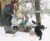 Zimowa akcja pomocy dla dużych i małych