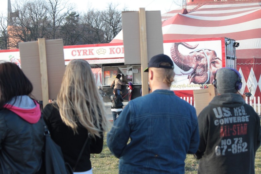 Przyjazna Łapa protestowała pod cyrkiem