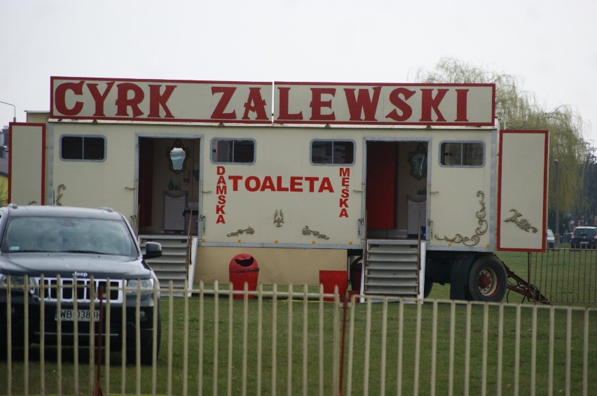 Cyrk Zalewski w Inowrocławiu [zdjęcia]