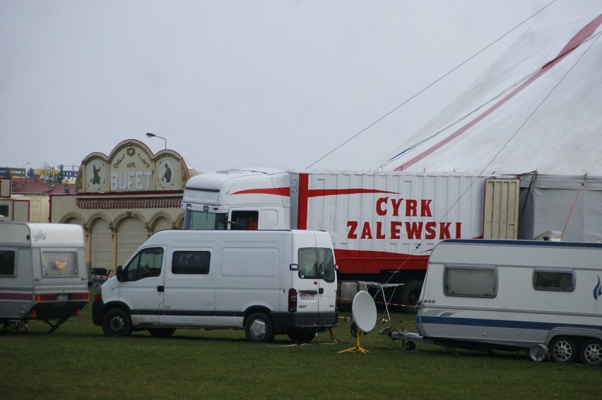 Cyrk Zalewski w Inowrocławiu [zdjęcia]