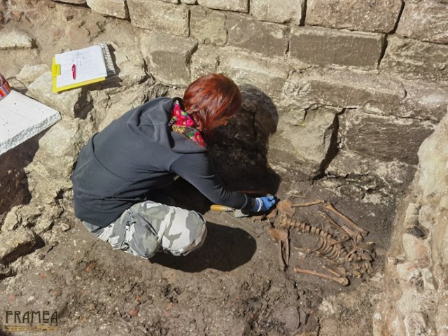 Podczas tegorocznych badań archeolodzy znaleźli szkielety uszkodzone m.in. przez budowę barokowej wieży