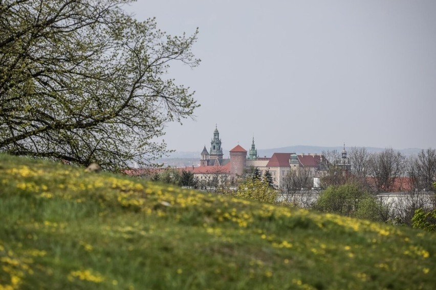 Kraków. W Budżecie Obywatelskim znów postawiono głównie na zieleń