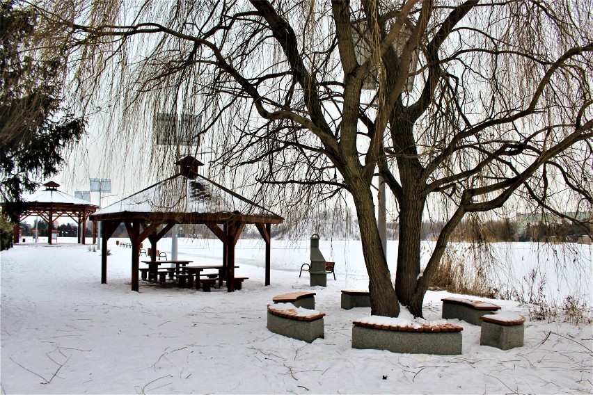 Zima nad zalewem miejskim w Łęczycy