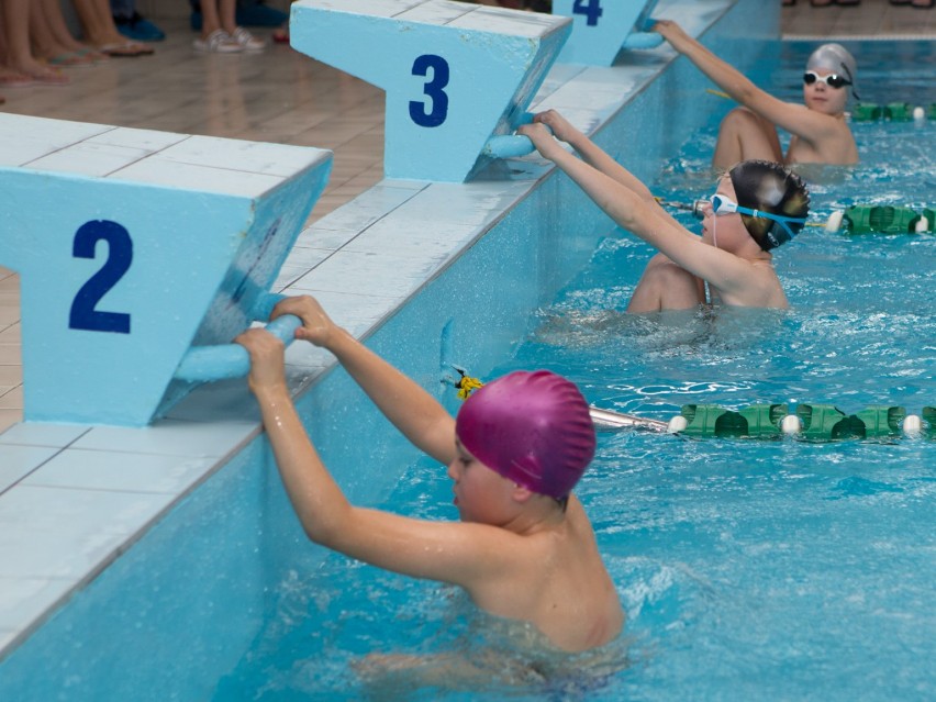 Mityng pływacki „Złota Płetwa” 2019 w Wieluniu ZDJĘCIA