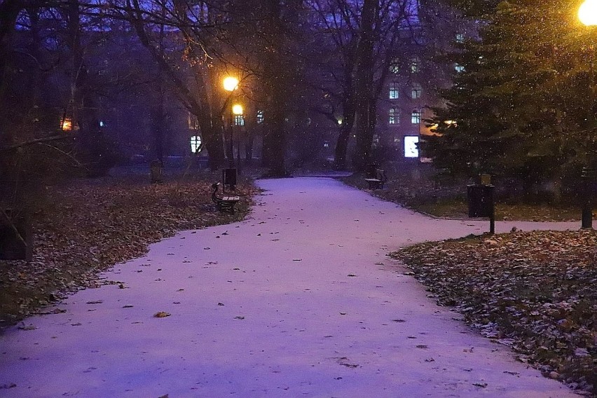 Tegoroczne Boże Narodzenie nie zapowiada się białe. Mróz i...