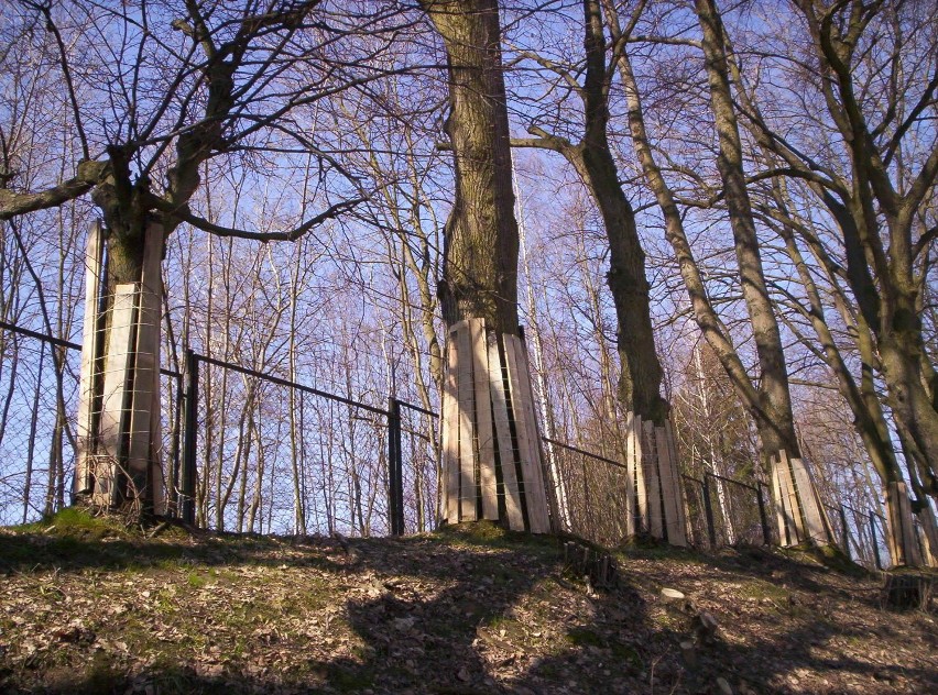 Obwodnica Lublina: Już w sobotę zamknięcie al. Warszawskiej