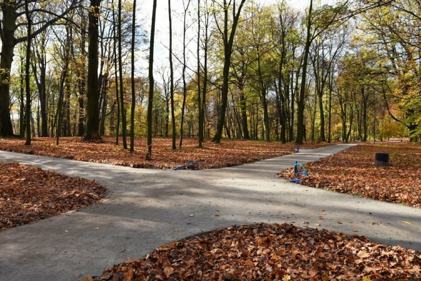 Park Ludowy w Miechowicach zyskał - w końcu - nowy blask.