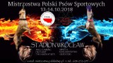 Targi Animal Wroclove już w ten weekend na Stadionie Wrocław [HARMONOGRAM TARGÓW]