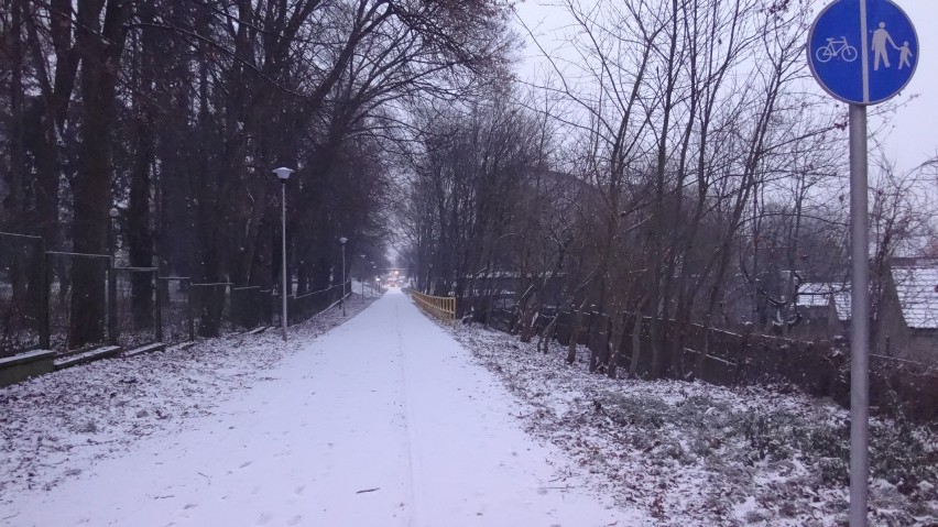 Pierwszy śnieg w naszym mieście [zdjęcia]