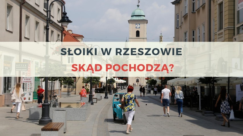 3386 osób osiedliło się w Rzeszowie w 2018 roku – wynika z...