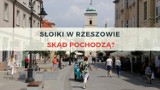 Nowi mieszkańcy Rzeszowa. Zobacz, skąd do miasta przyjeżdża najwięcej osób