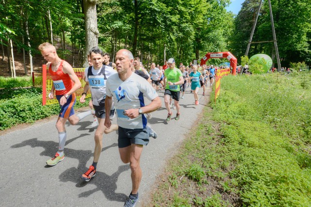 W sobotę biegacze mogli się sprawdzić na urokliwej trasie w sopockim lesie