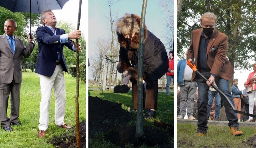 Te znane osoby posadziły drzewa w inowrocławskich Solankach....