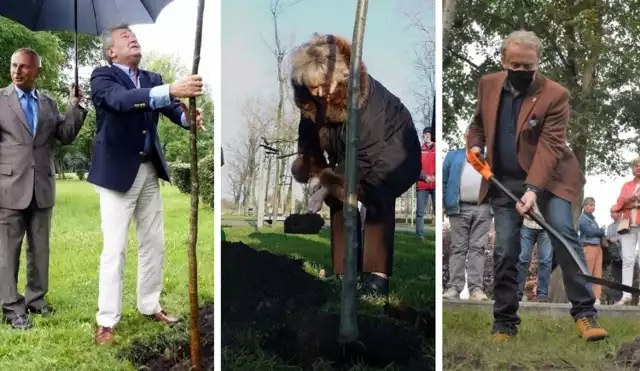 Te znane osoby posadziły drzewa w inowrocławskich Solankach. Zobaczcie >>>>>