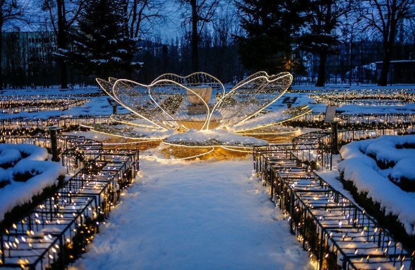 Śnieżne iluminacje w Parku Oliwskim [ZDJĘCIA]