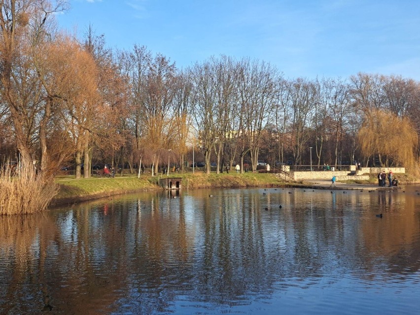 Noworoczny spacer w Parku im. F. Kachla w Bytomiu. Zobacz ZDJĘCIA. Wiosenna pogoda 1 stycznia 2023!