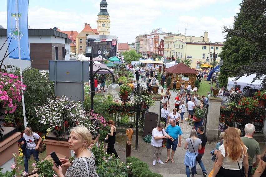 Lato Kwiatów w Otmuchowie 2022. Atrakcji nie brakuje.