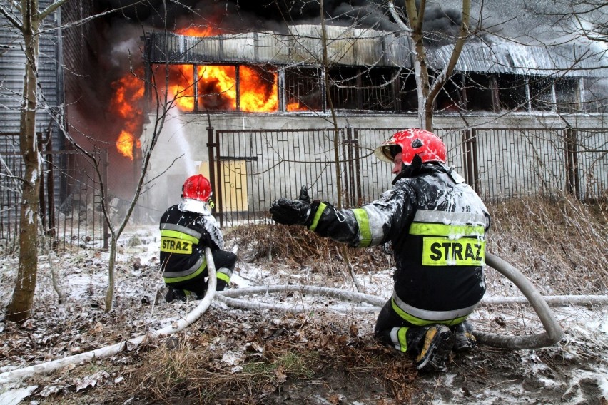 Wrocław: Potężny pożar na Brochowie [ZDJĘCIA]