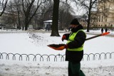 W Szczawnie - Zdroju chcą posypywać chodniki fusami z kawy. Czy to dobry pomysł?