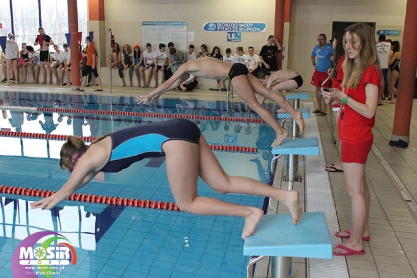 Zawody pływackie Aquarion Żory: 450 młodych mistrzów na start [ZDJĘCIA]