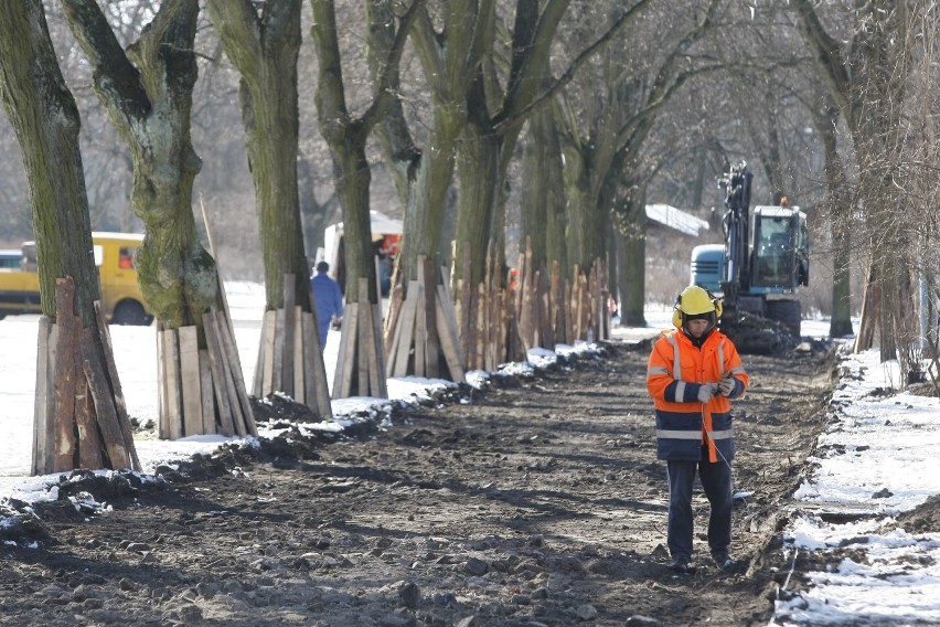 Remont w parku Poniatowskiego w Łodzi. Nowe drzewa, aleje i latarnie [ZDJĘCIA]