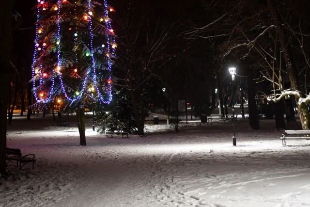 Zobaczcie zdjęcia z zimowej nocy w odnowionym niedawno parku miejskim!

 Zobacz też: Rozpoczęcie budowy stadionu miejskiego w Jarosławiu
