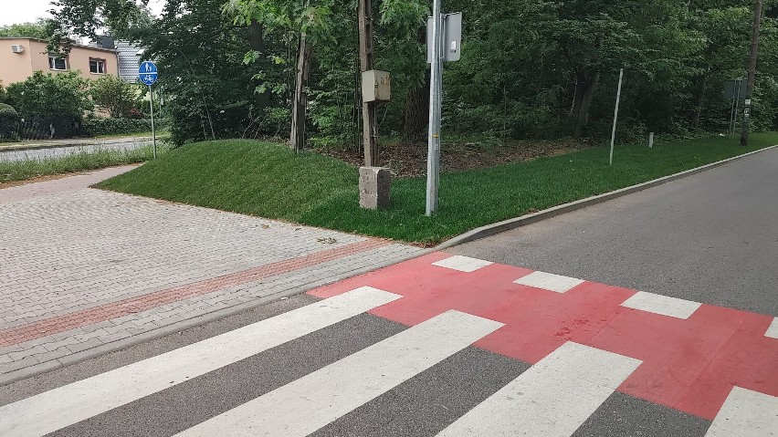 Cenne znalezisko znów stoi na skrzyżowaniu w Żarach. Co wykopano w czasie prac przy ulicy Dziewina?