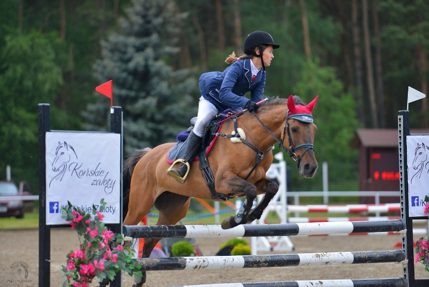 Zawody Konne w Ciechocinku (8-9 lipca 2017)