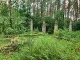 Tajemnicze ruiny dawnych ogrodów w Płocicznie