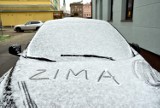 Pierwszy śnieg w Żarach padał kilka minut i już prawie go nie ma. To znak, że zima tuż tuż?