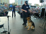 Policjanci na festynie w Wejherowie