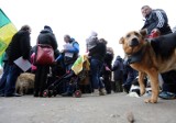 Schronisko dla zwierząt przy Chopina? Mieszkańcy protestują