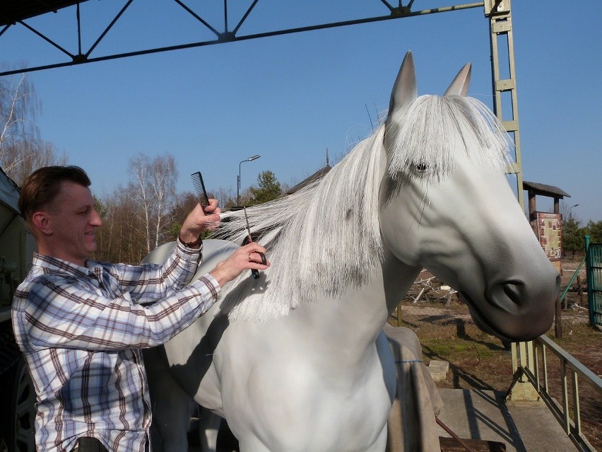 Koń Skałek zamieszkał w Grotach Nagórzyckich