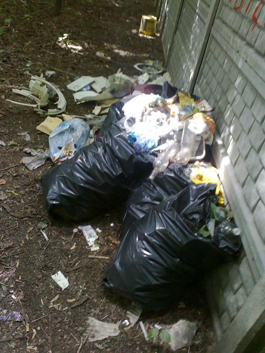 Śmieci można znaleźć w rejonie ul. Dworcowej praktycznie...