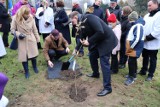 W Kołacinku (gm. Dmosin) posadzono Dąb Pamięci „Pro memoria bł. ks. kardynała Stefana Wyszyńskiego”