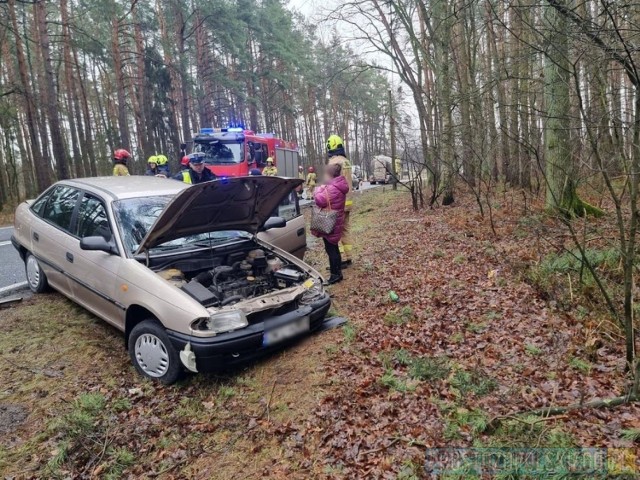 Przyczyną kolizji było niedostosowanie prędkości do panujących warunków przez kierującą oplem astrą, która uderzyła w naczepę ciężarówki. Została ukarana mandatem w wysokości 1100 zł i 6 punktów karnych.