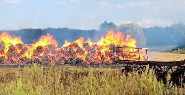 W środę, 14 sierpnia, strażacy OSP Skwierzyna wyjechali gasić pożar stogu siana na polu w miejscowości Goraj.