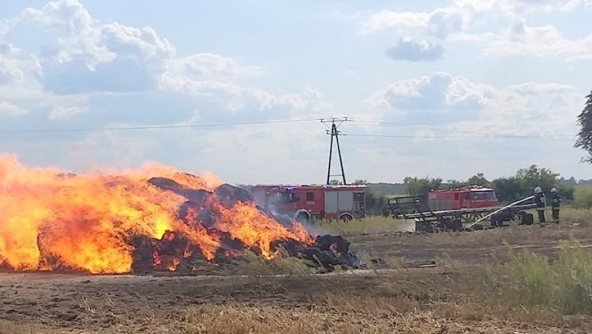 W środę, 14 sierpnia, strażacy OSP Skwierzyna wyjechali...