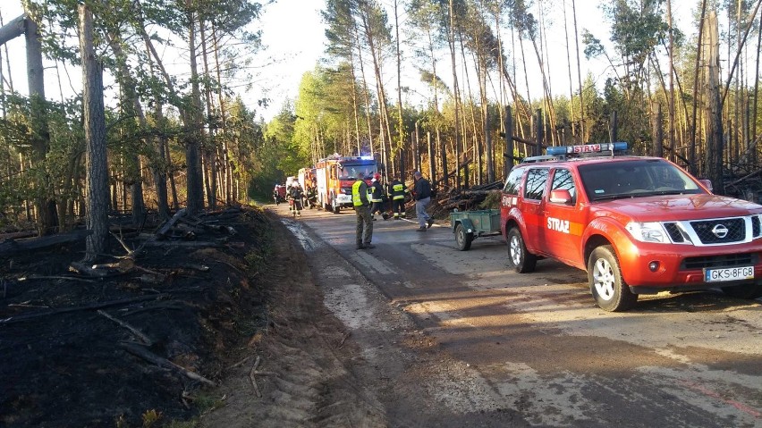 58 strażaków walczyło z pożarem w gminie Dziemiany. Wszystko wskazuje na to, że doszło do podpalenia [ZDJĘCIA]