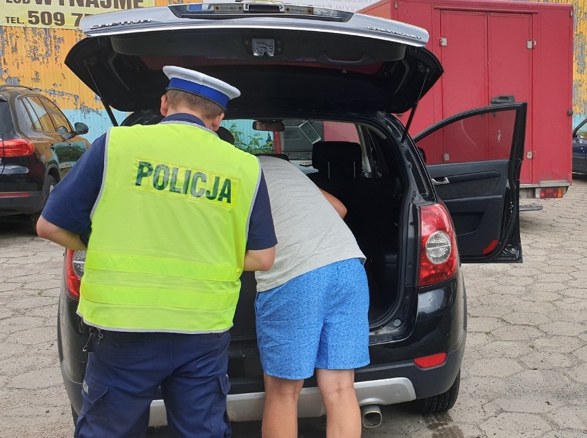 Policjanci z Włocławka skontrolowali prawie tysiąc kierowców. Nałożyli 247 mandatów. Wypadki i 33 kolizje [podsumowanie - zdjęcia, wideo]