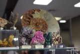 Trwa wystawa kamieni, minerałów i biżuterii w Hali na Podpromiu w Rzeszowie. Warto się wybrać!