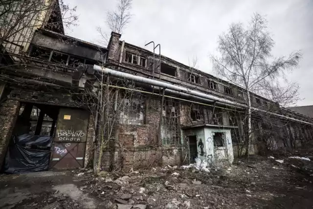 Dawniej najsłynniejsza fabryka w Warszawie, obecnie pusta hala, która jest przeznaczona do rozbiórki. Zamiast pracowników, pojawią się nowi mieszkańcy bo Ursus chce tutaj postawić osiedle. Na razie można się wybrać i zobaczyć pozostałości po starej fabryce ciągników.
 
Zobacz też: Opuszczona fabryka w Ursusie. Kiedyś pracowały tam tysiące robotników [ZDJĘCIA]



Zobaczcie też: Opuszczone budynki w Warszawie - ZDJĘCIA