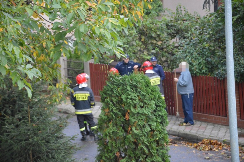 Wyciek gazu przy ul. Witosa w Głogowie. Na miejscu są służby ratunkowe