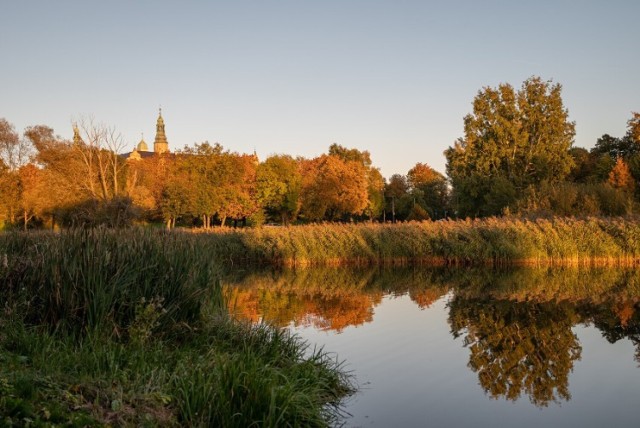 Jutro, tj. 27 października termometry w Sycowie i Oleśnicy wskażą temperaturę w dzień 19 stopni Celsjusza. Natomiast w nocy z piątek na sobotę temperatura może spaść do 10°C.